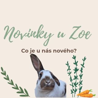 🐰 NOVINKY OD ZOE – tento týden se u nás děje spousta dobrodružství! 🫐Borůvkové pamlsky jsou dostupné na e-shopu – Zoe je...