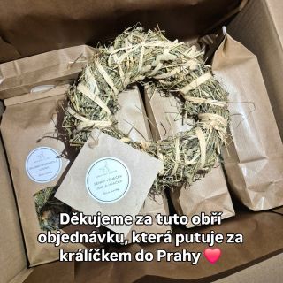 #kralici #kralicci #hlodavci #domacipamlsky #pamlskyprokralicky #bylinkyprokralicky #mnamkyuzoe