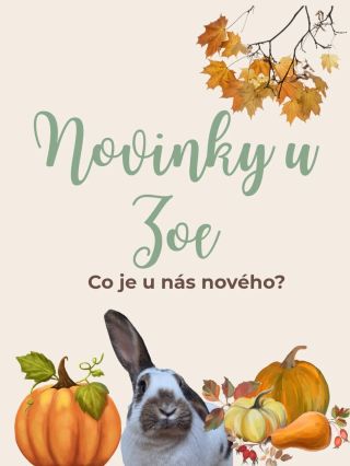 ✨ Co je u nás nového? ✨ Podzim u nás voní bylinkami, dýní a už pomalu i Vánocemi 🎄🐰 🌻 Připravili jsme novou bylinkovou...